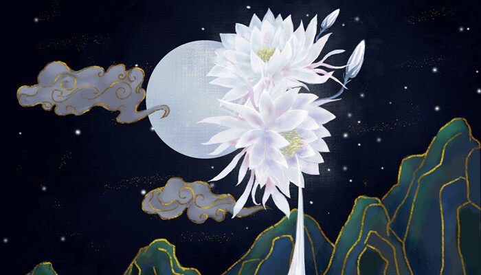 昙花的特点 昙花有什么特点