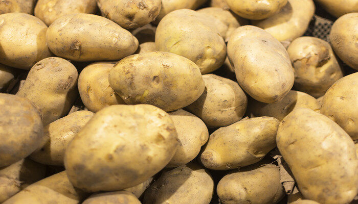 南方12月能种土豆吗 12月份可以种土豆吗