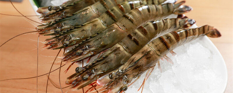淡水虾怎么养殖 淡水虾的养殖方式