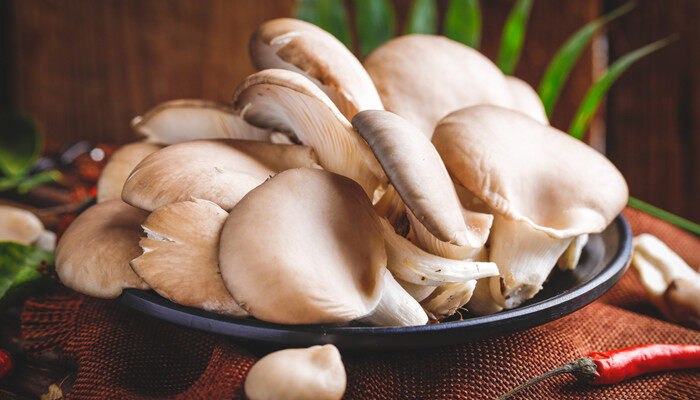 蘑菇怎么种植 怎么种植蘑菇