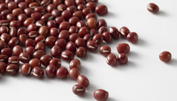 红豆水培发芽一般要几天时间 红豆水培发芽一般要多久