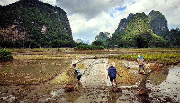 原始农业的地位 原始农业的地位是什么