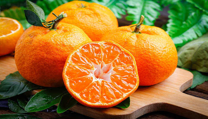 柑橘栽培区集中在哪里