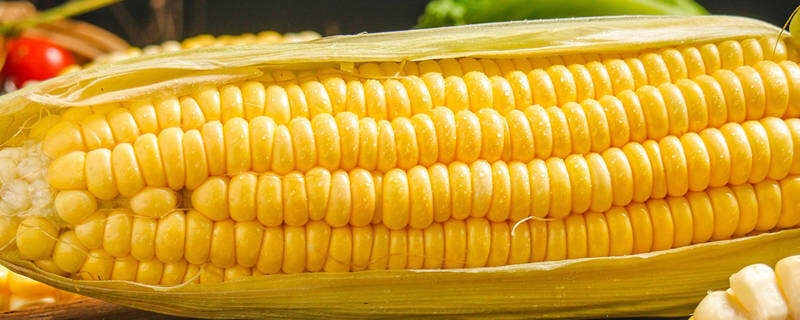 甜玉米亩产量一般多少斤 甜玉米亩产量一般多少 