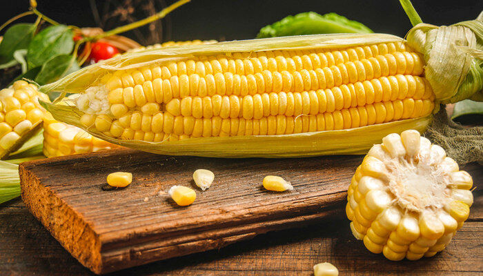 德育919玉米品种介绍 德育919玉米品种介绍是什么
