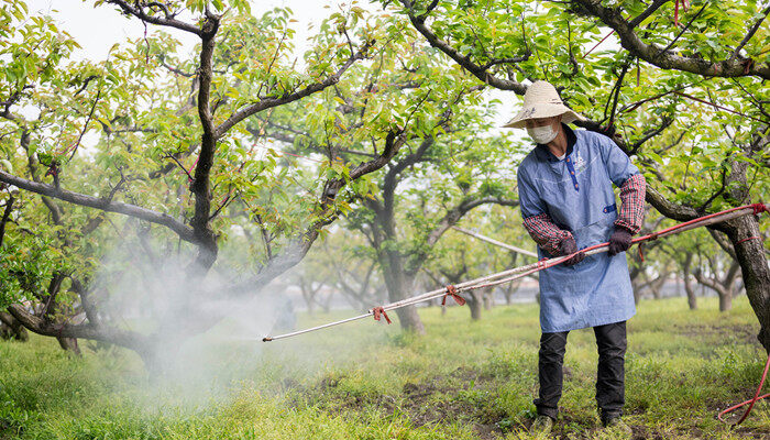 甲维茚虫威能打什么虫 甲维茚虫威能打啥虫