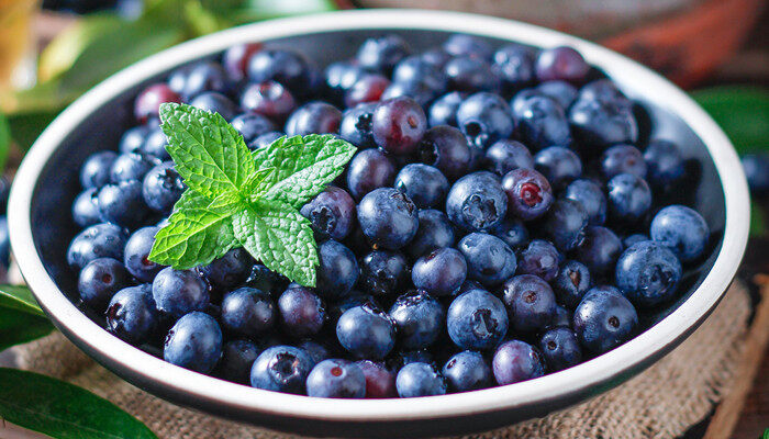 适合南方矮丛蓝莓的品种 适合南方矮丛蓝莓的品种有哪些