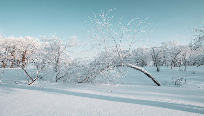 摄图网_501698272_banner_吉林亚龙湾群景区冬天雾凇树挂风景（企业商用）.jpg