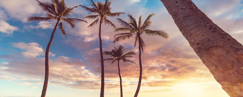 摄图网_300042897_神奇的夏威夷海滩美妙的日落美丽的假日背景（企业商用）.jpg