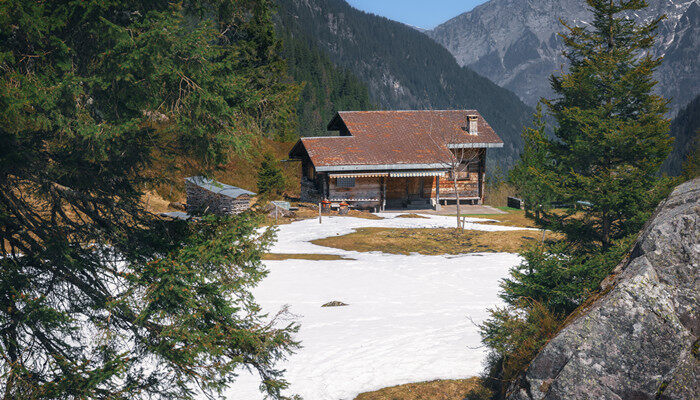 摄图网_303444056_山坡丘的青松树雪山峰和木屋（企业商用）.jpg