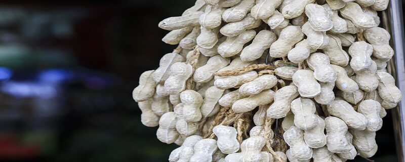 水花生用什么除草剂可根除